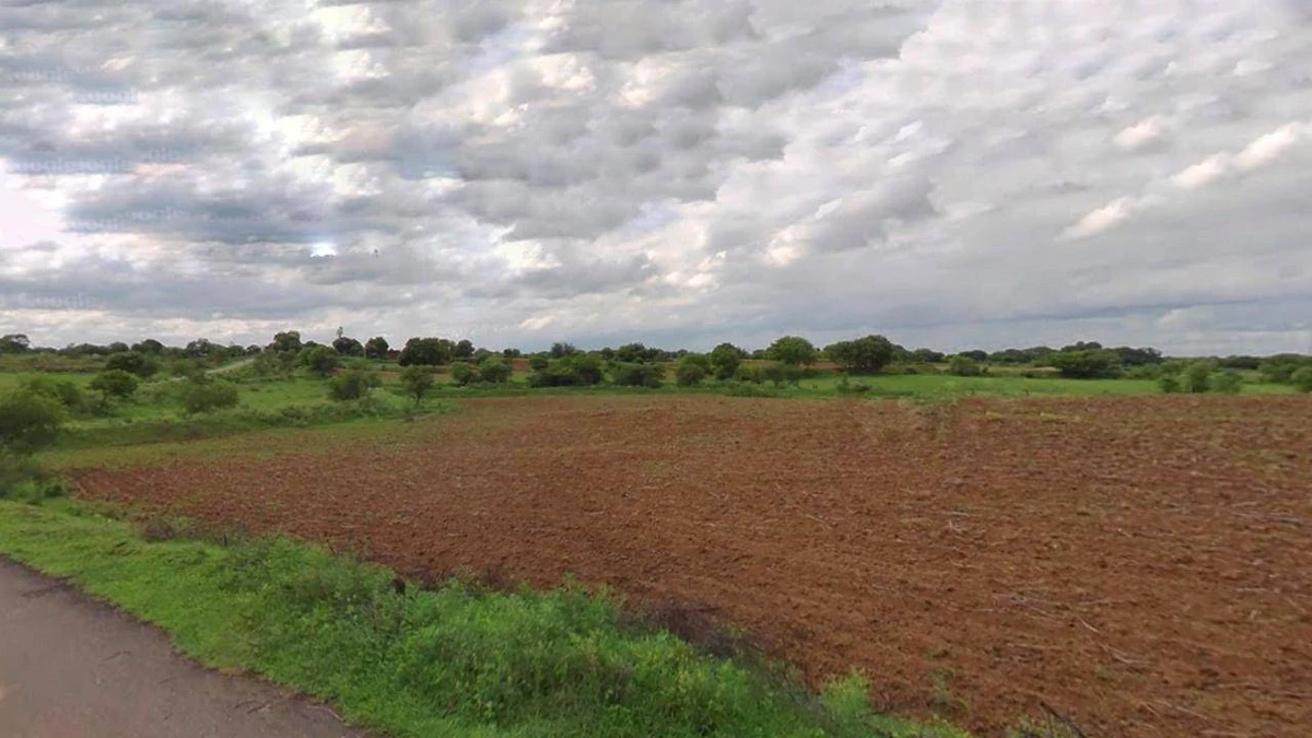 Bijnor, Uttar Pradesh 246701, India