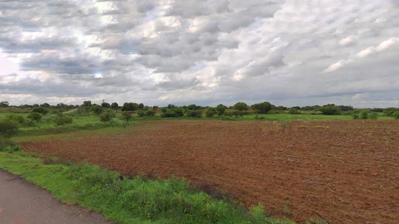 Bijnor, Uttar Pradesh 246701, India