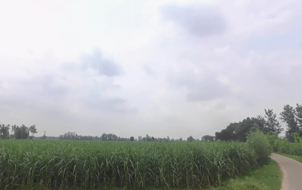 Jansath, Uttar Pradesh 251314, India