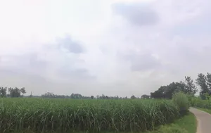 Jansath, Uttar Pradesh 251314, India preview 2