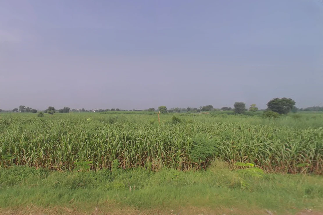 X8CR+FWC, NH 19, Khatela Sarai, Haryana 121105, India