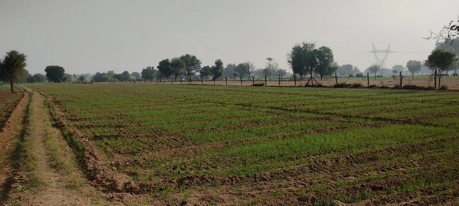 Bhoopsera, Rajasthan 301402, India preview 2