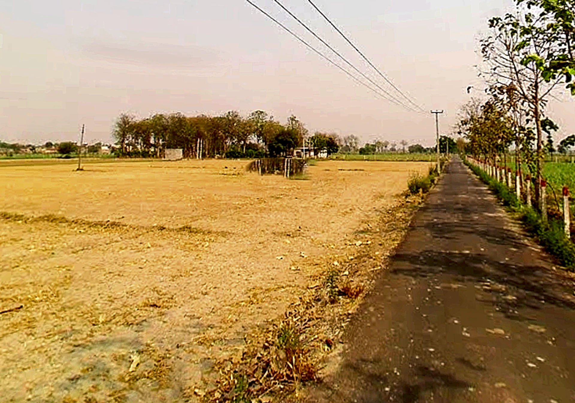 Partapur - Chijarshi Rd, Chhajarasi Kuleechnagar, Uttar Pradesh 245304, India