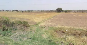 Khamaria, Jabalpur, Madhya Pradesh 482005, India preview 3