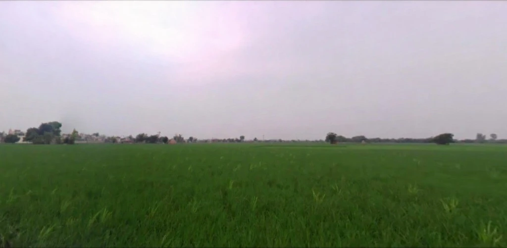 Gheer, Haryana 132023, India