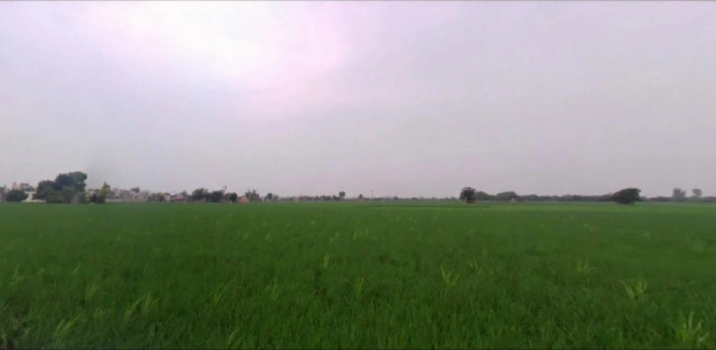 Gheer, Haryana 132023, India
