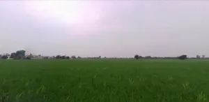 Gheer, Haryana 132023, India preview 3