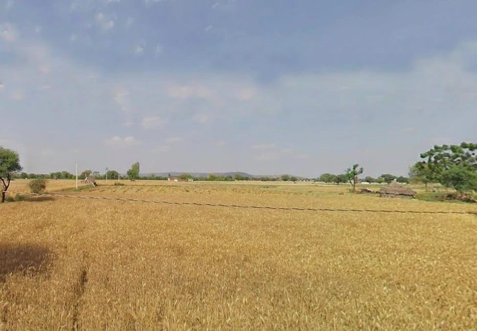 MR2P+GC8, Goojarpur Kalan, Rajasthan 301025, India