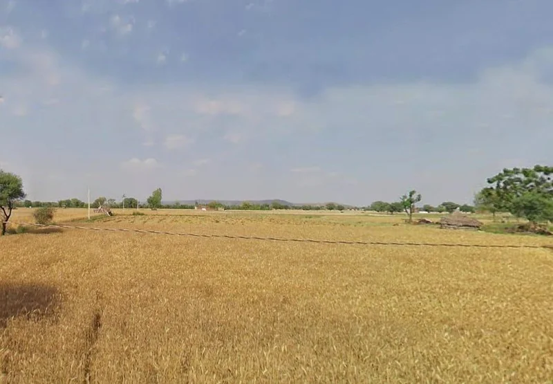 MR2P+GC8, Goojarpur Kalan, Rajasthan 301025, India preview 3