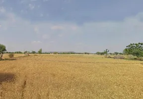 MR2P+GC8, Goojarpur Kalan, Rajasthan 301025, India preview 3
