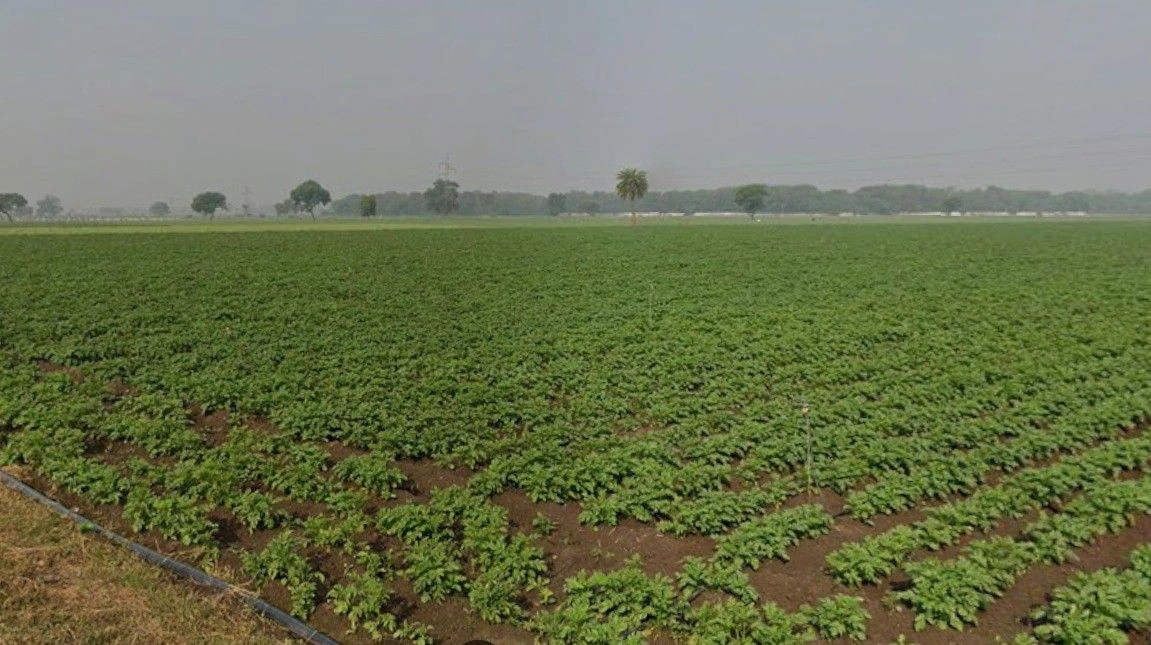 Budhni, Madhya Pradesh 466445, India