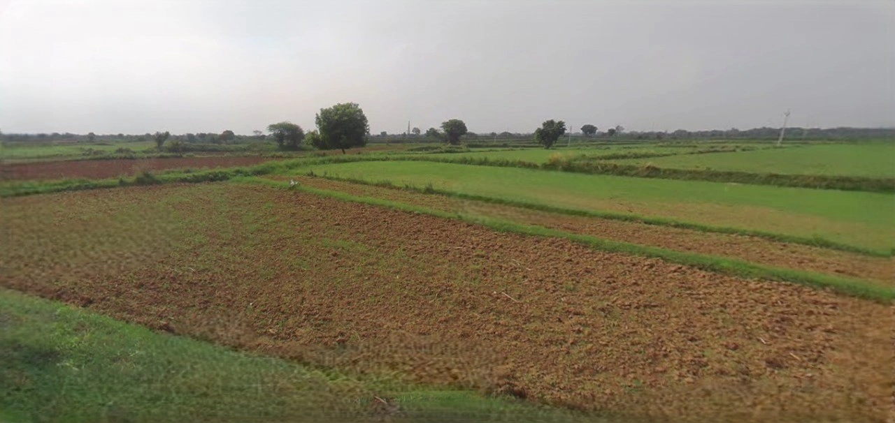 Sonipat, Haryana, India
