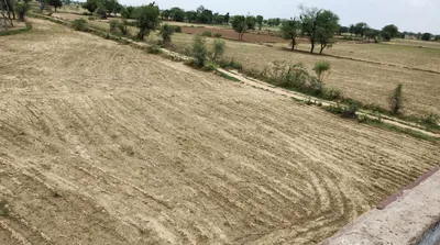 Pipraich, Uttar Pradesh, India preview 3