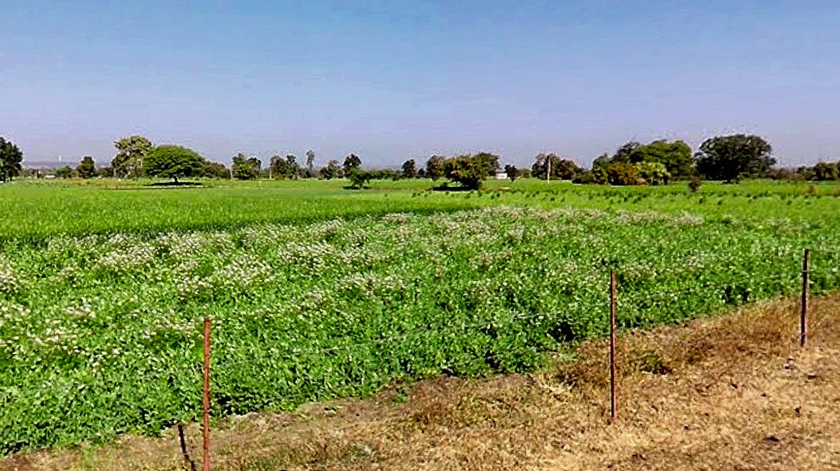 Lohar Pipalya, Madhya Pradesh 455001, India