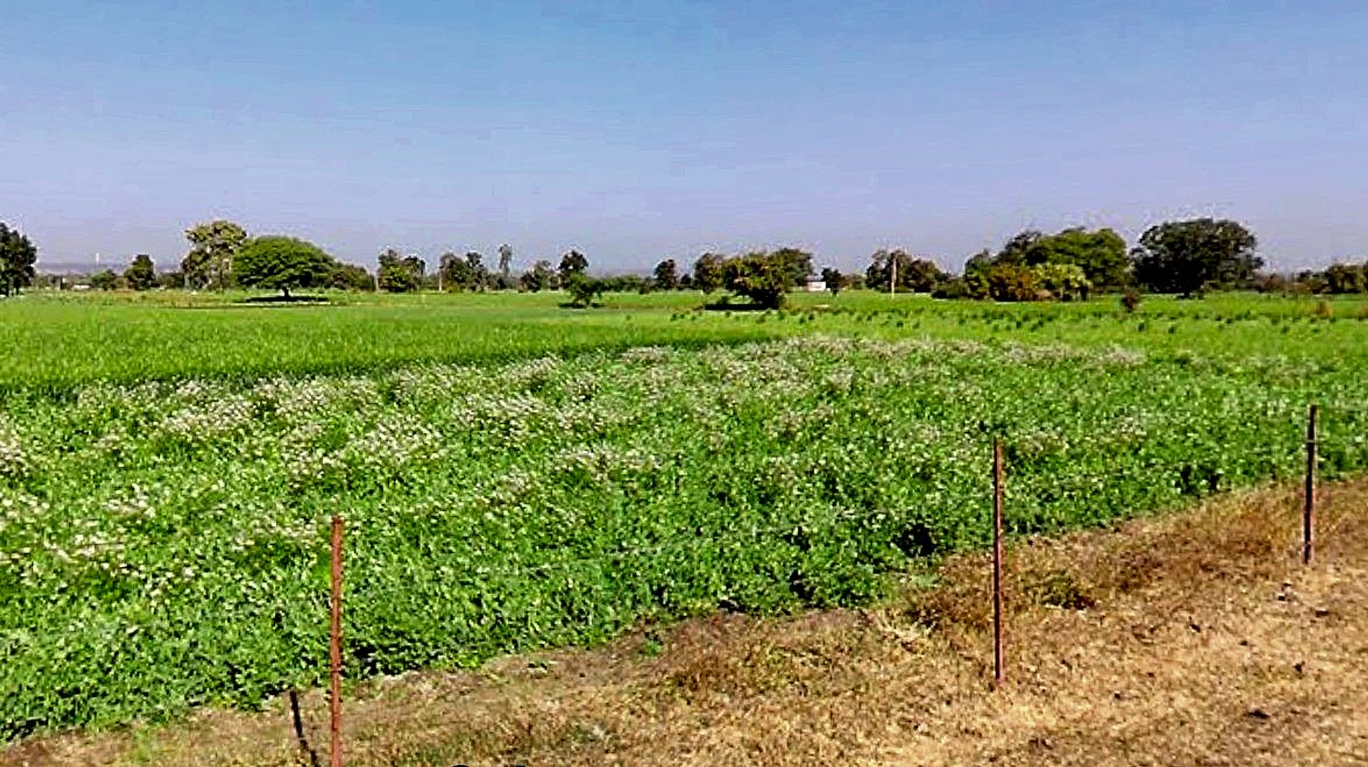 Lohar Pipalya, Madhya Pradesh 455001, India