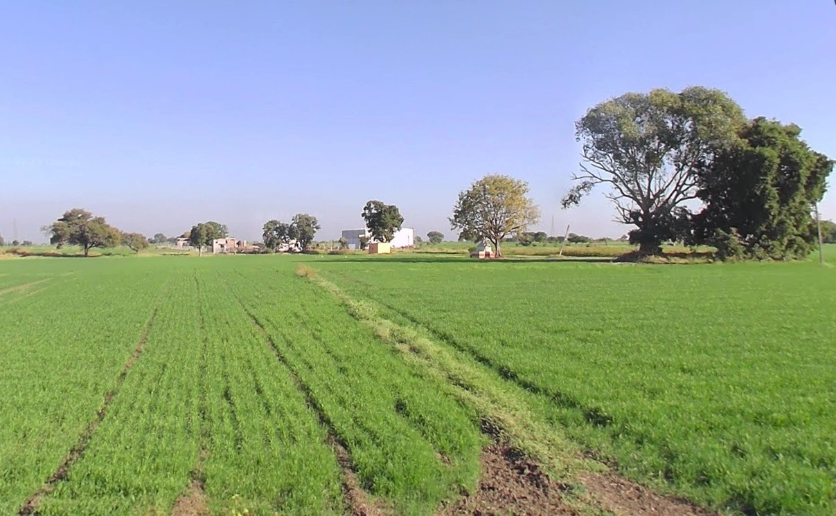 Nignoti, Madhya Pradesh, India