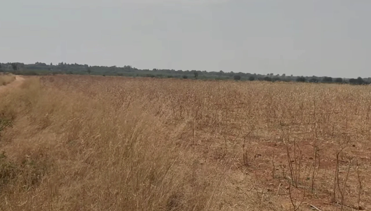 Penukonda, Andhra Pradesh, India
