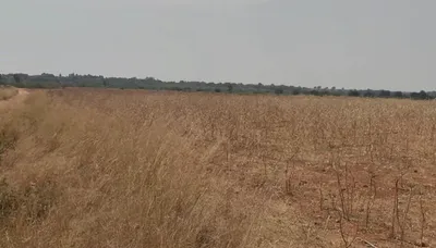 Penukonda, Andhra Pradesh, India preview 2