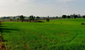 97C6+QXM, Chhindwada, Madhya Pradesh 462036, India preview 2