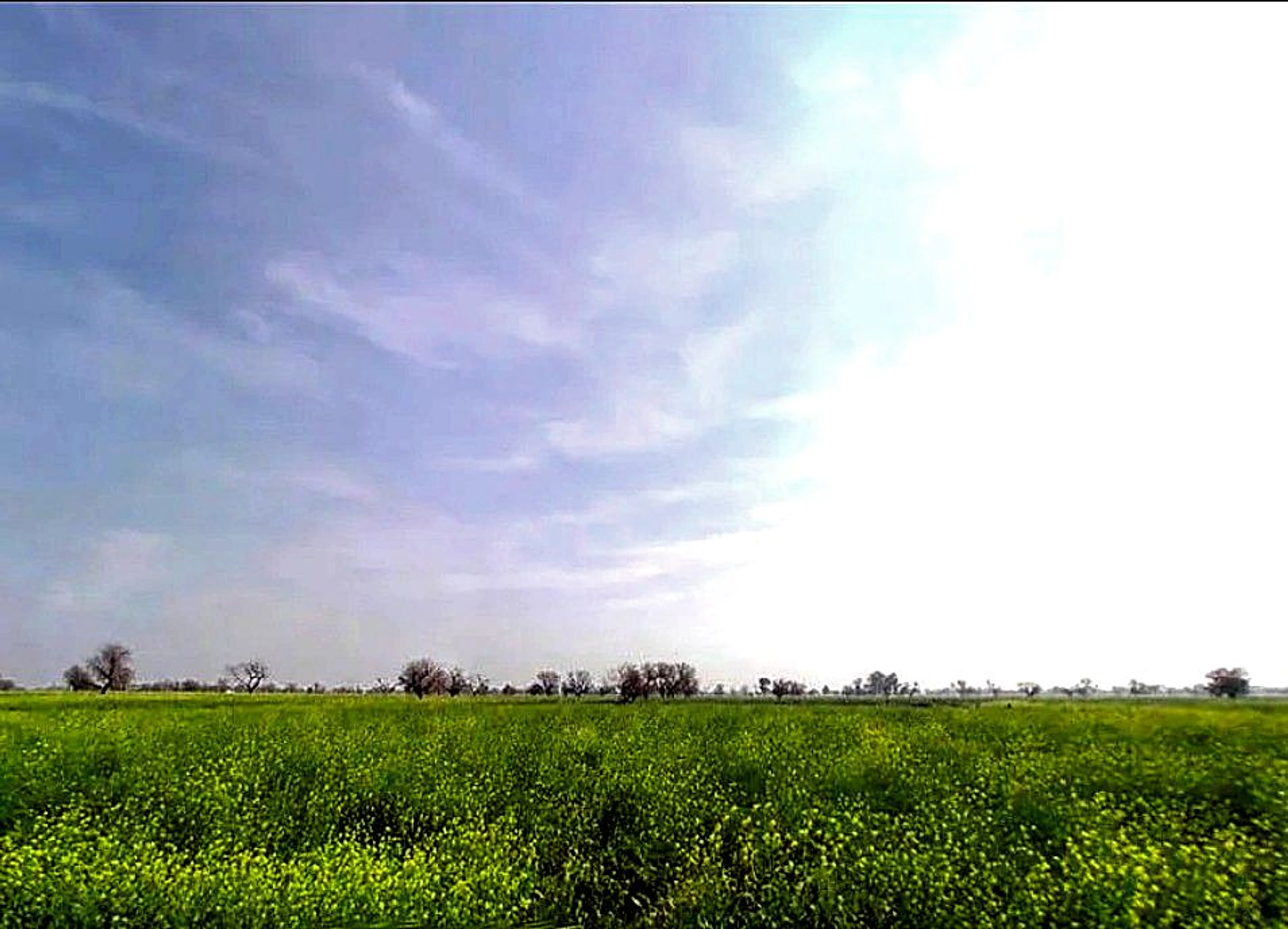 6JWQ+5R Govindgarh, Rajasthan, India