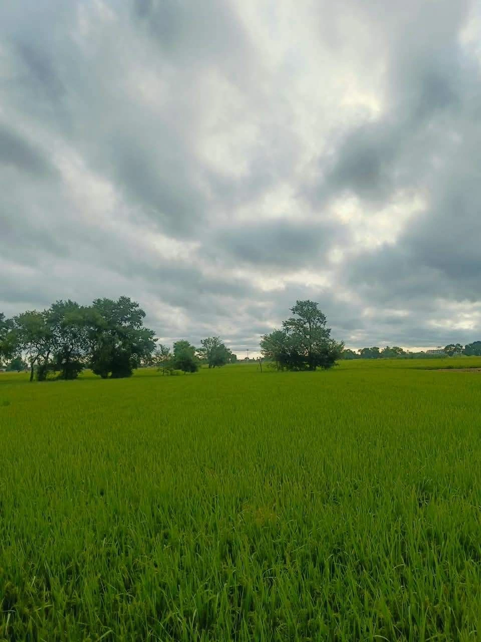 Malhu, Mathura, Uttar Pradesh 281123, India