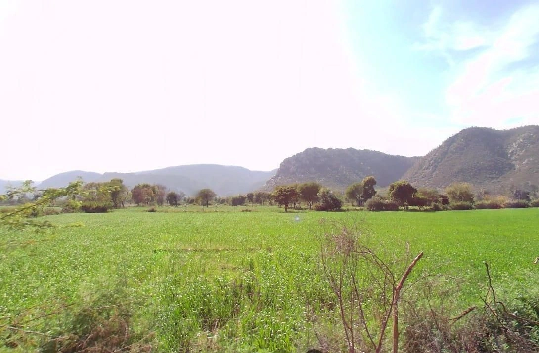 Rundh Binak, Rajasthan, India