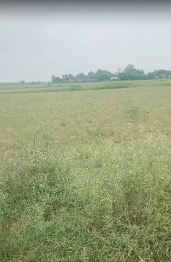 34C2+M6X, Manikpur, Pata, Uttar Pradesh 210208, India preview 2