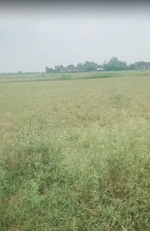 34C2+M6X, Manikpur, Pata, Uttar Pradesh 210208, India