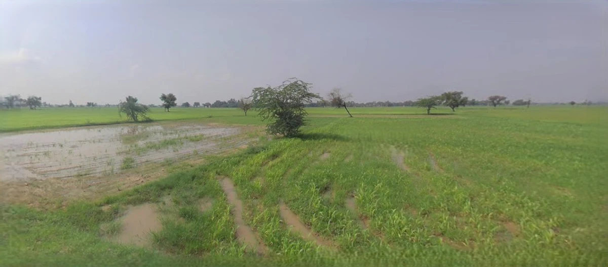 Ujjain, Madhya Pradesh, India