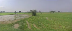 Ujjain, Madhya Pradesh, India preview 3