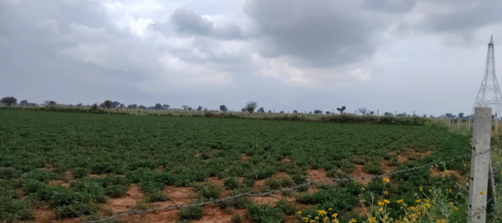 MG6H+CR Awandiya, Dudu, Rajasthan, India