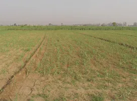 2J5F+GFM, Sindhawali, Sindhawli, Uttar Pradesh 250005, India preview 3