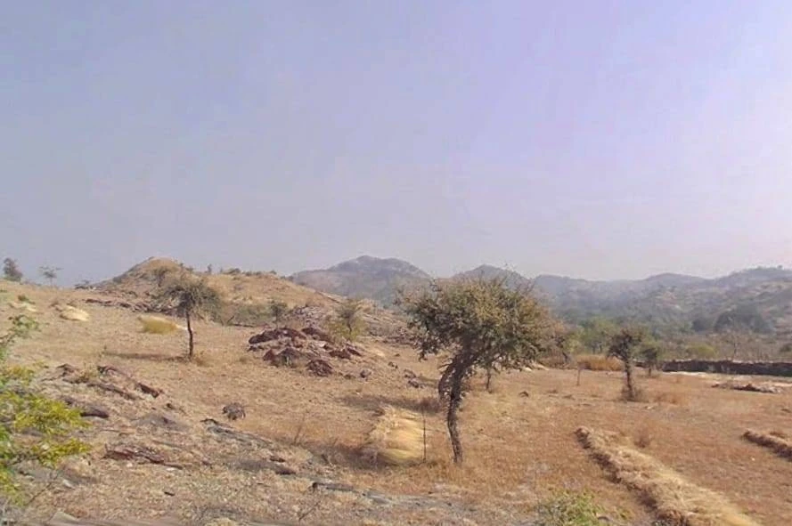 VM64+6Q, Kaloda, Rajasthan, India