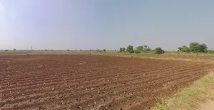 Vadgas, Gujarat 382150, India preview 3