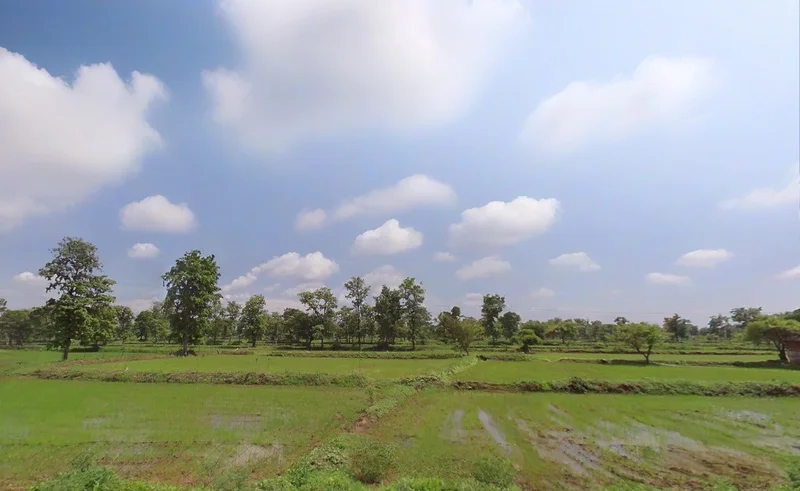 Khapridih, Chhattisgarh 495552, India preview 3