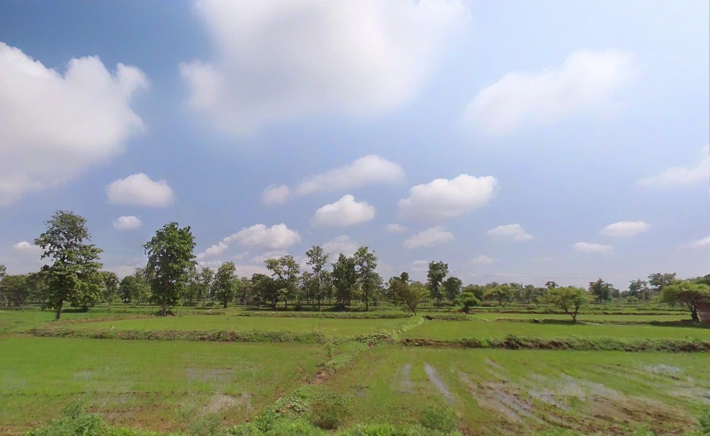 Khapridih, Chhattisgarh 495552, India