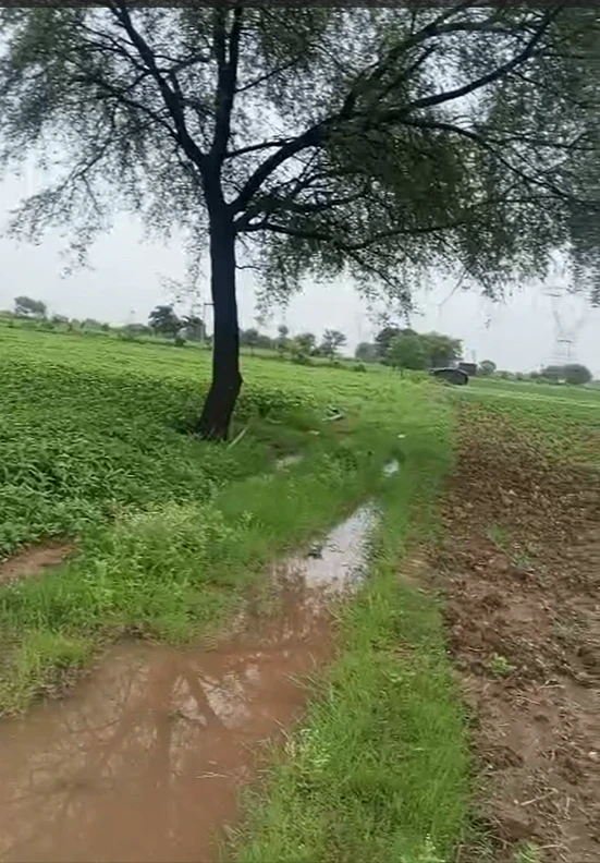 484, Chhatarpur, Mahaarajpur, Madhya Pradesh 471501, India