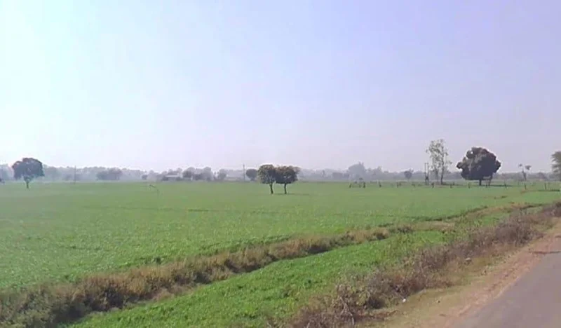 Bijolia, Rajasthan 311602, India preview 3