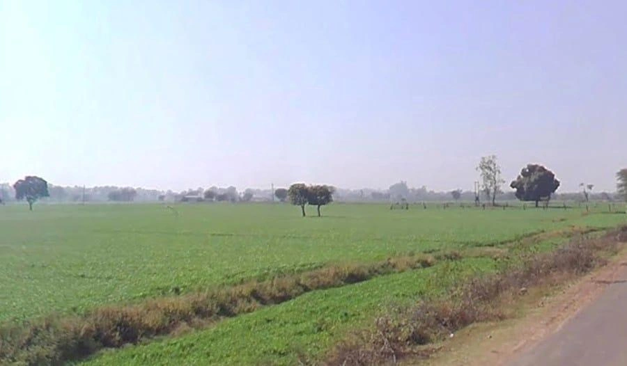 Bijolia, Rajasthan 311602, India