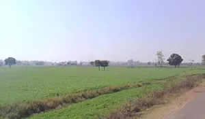 Bijolia, Rajasthan 311602, India preview 3