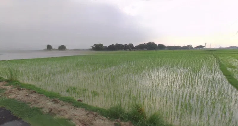 Kothi, Madhya Pradesh 485666, India preview 2