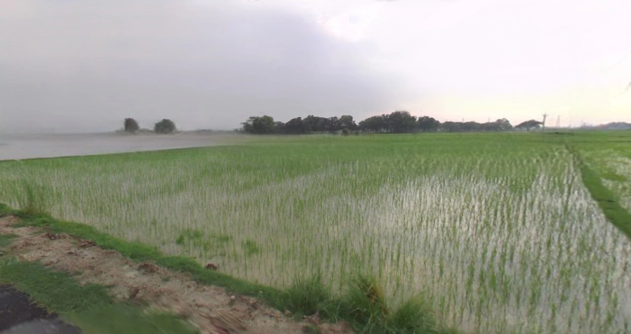 Kothi, Madhya Pradesh 485666, India