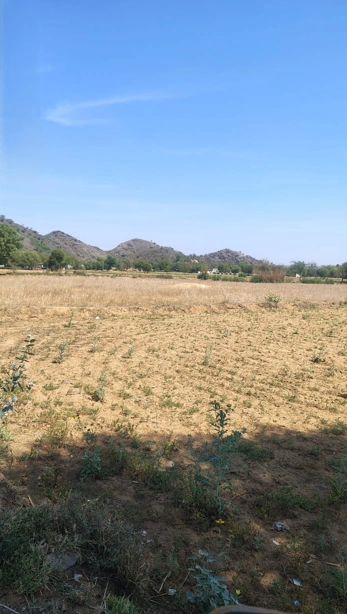 Morni Hills, Haryana, India preview 3