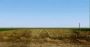 Bairagarh, Madhya Pradesh 455001, India preview 2