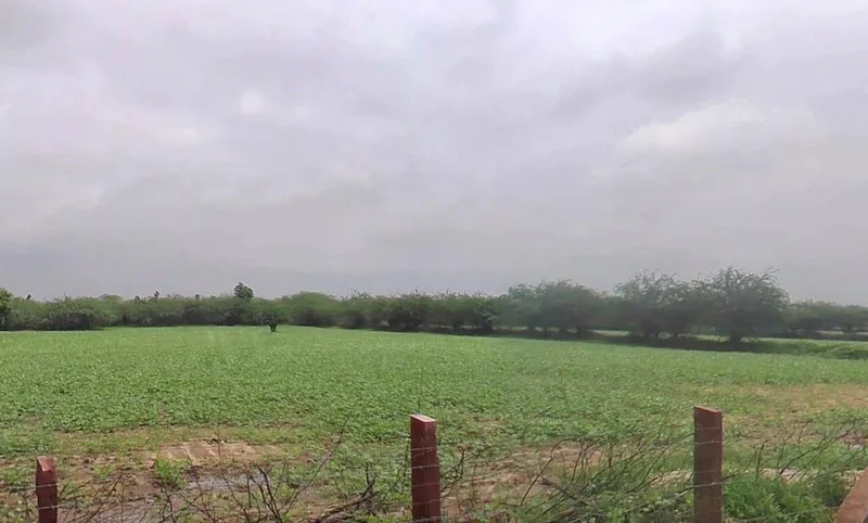 Keerwa, Rajasthan 306422, India preview 3