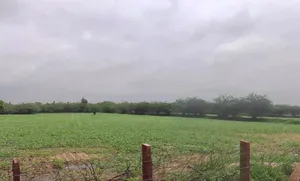 Keerwa, Rajasthan 306422, India preview 3