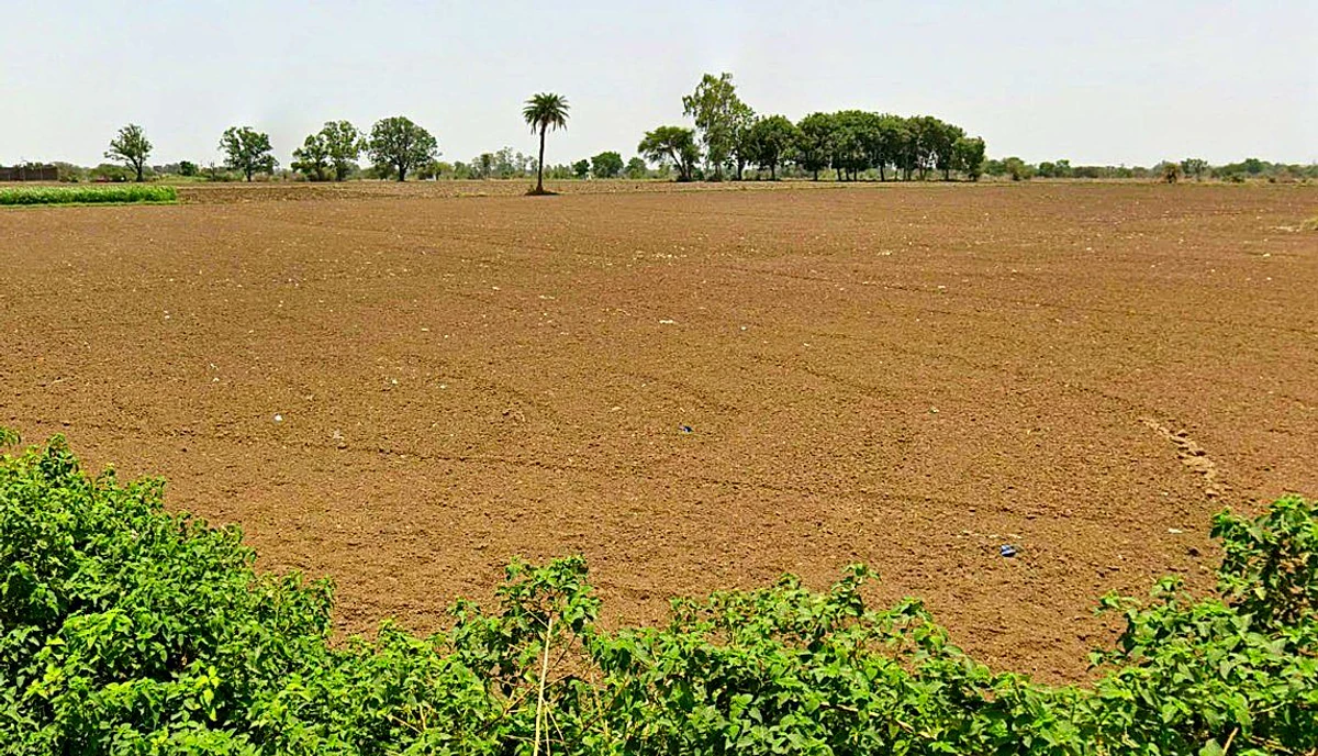 Sunera, Madhya Pradesh 465001, India