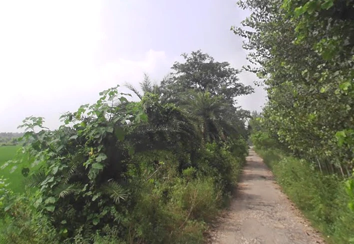 Dadwa, Uttar Pradesh 247129, India