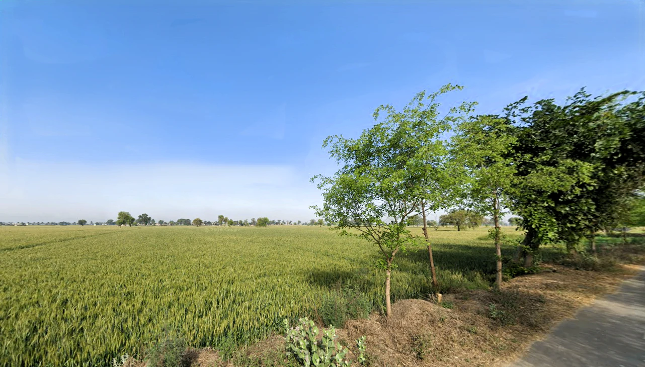 Rania, Haryana 125076, India