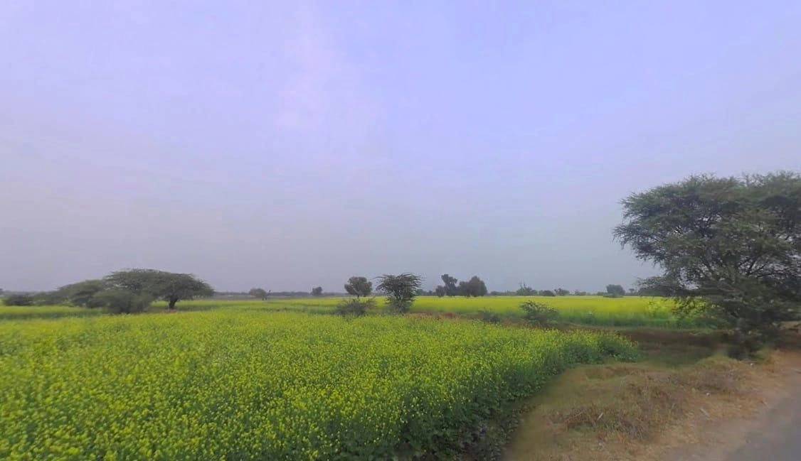 66PC+749, Lamya Joonardar, Rajasthan, India